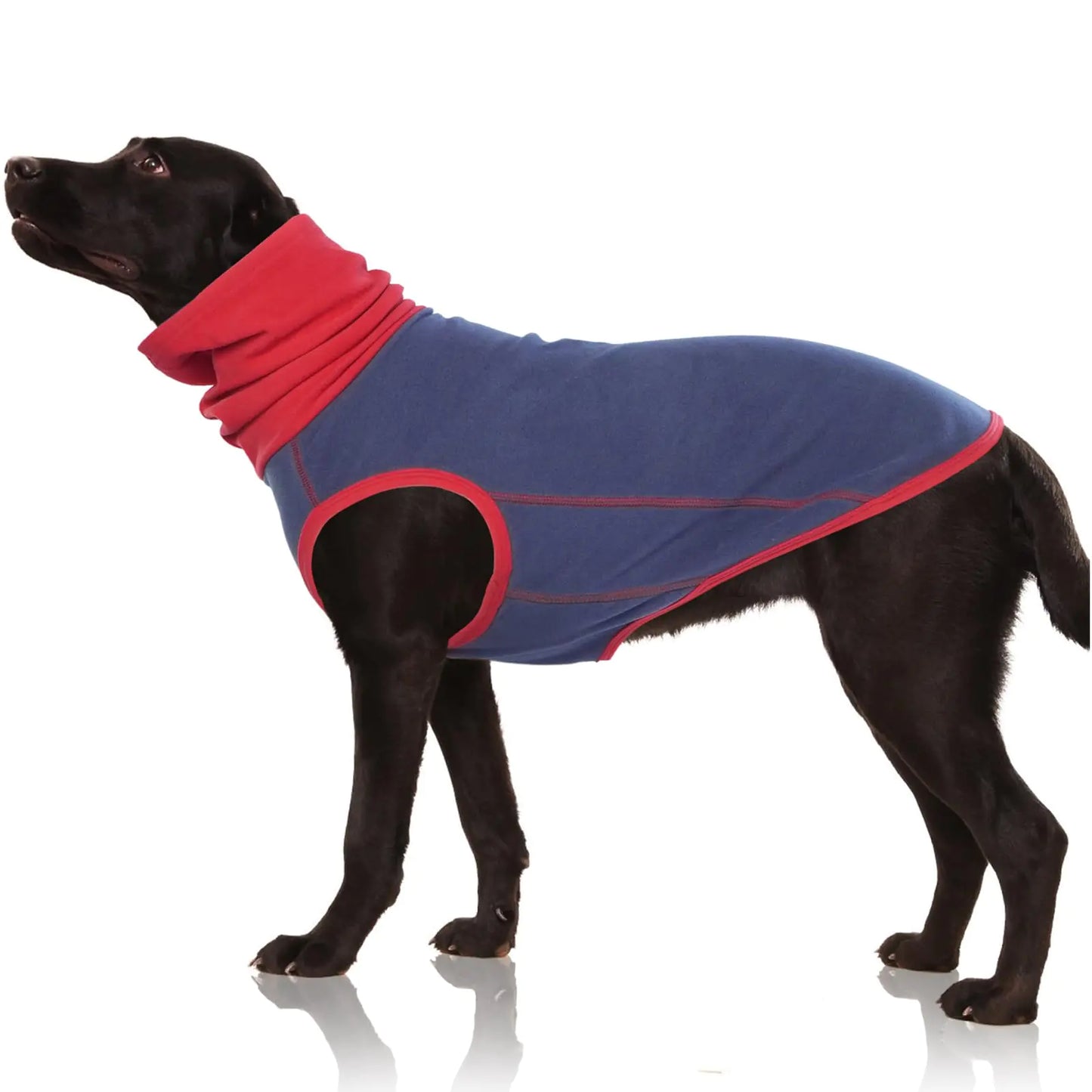 Cozy Canine Fleece Turtleneck