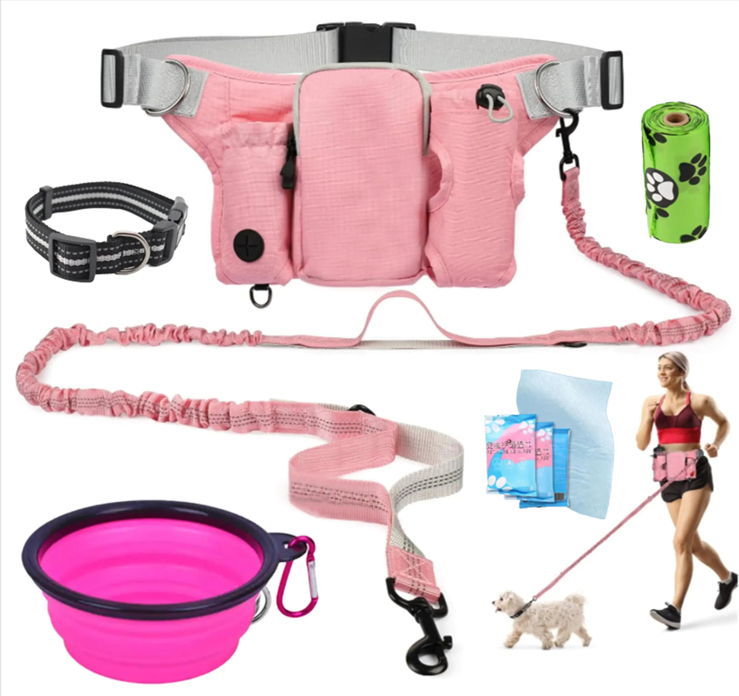 PoochPace Handsfree Walking Kit